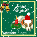 Flockis Homepage