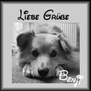 Senfhund Benji
