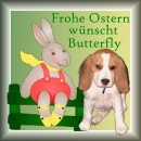 Beagle Butterfly