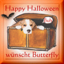 Beagle Butterfly