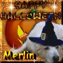 Merlin