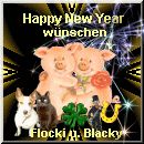 Flockis Homepage