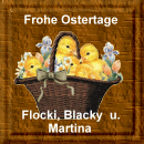 Flockis Homepage