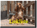 Linkliste - bitte eintragen!!