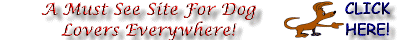 A Must See Site For Dog Lovers Everywhere