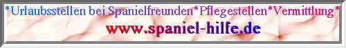 Spaniel-Hilfe