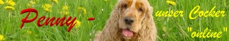 Private Homepage &uuml;ber unser Cocker-M&auml;dchen Penny, Informationen &uuml;ber Englische Cocker Spaniel und unseren Cocker-Treffpunkt, Photo-Album, Gedanken/Humor zum Thema HUND, Animated Dog Gifs, Links ....