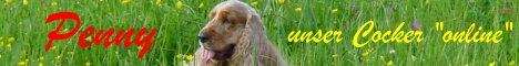 Penny - unser Cocker online