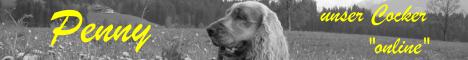 Private Homepage &uuml;ber unser Cocker-M&auml;dchen "Penny", Informationen &uuml;ber Englische Cocker Spaniel und unseren Cocker-Treffpunkt, Photo-Album, Gedanken/Humor zum Thema HUND, Animated Dog Gifs, Links ....