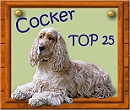 Cocker TOP 25